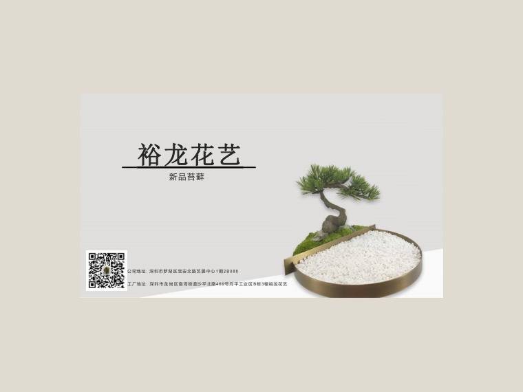 裕龙花艺 苔藓盆景 20250516 preview